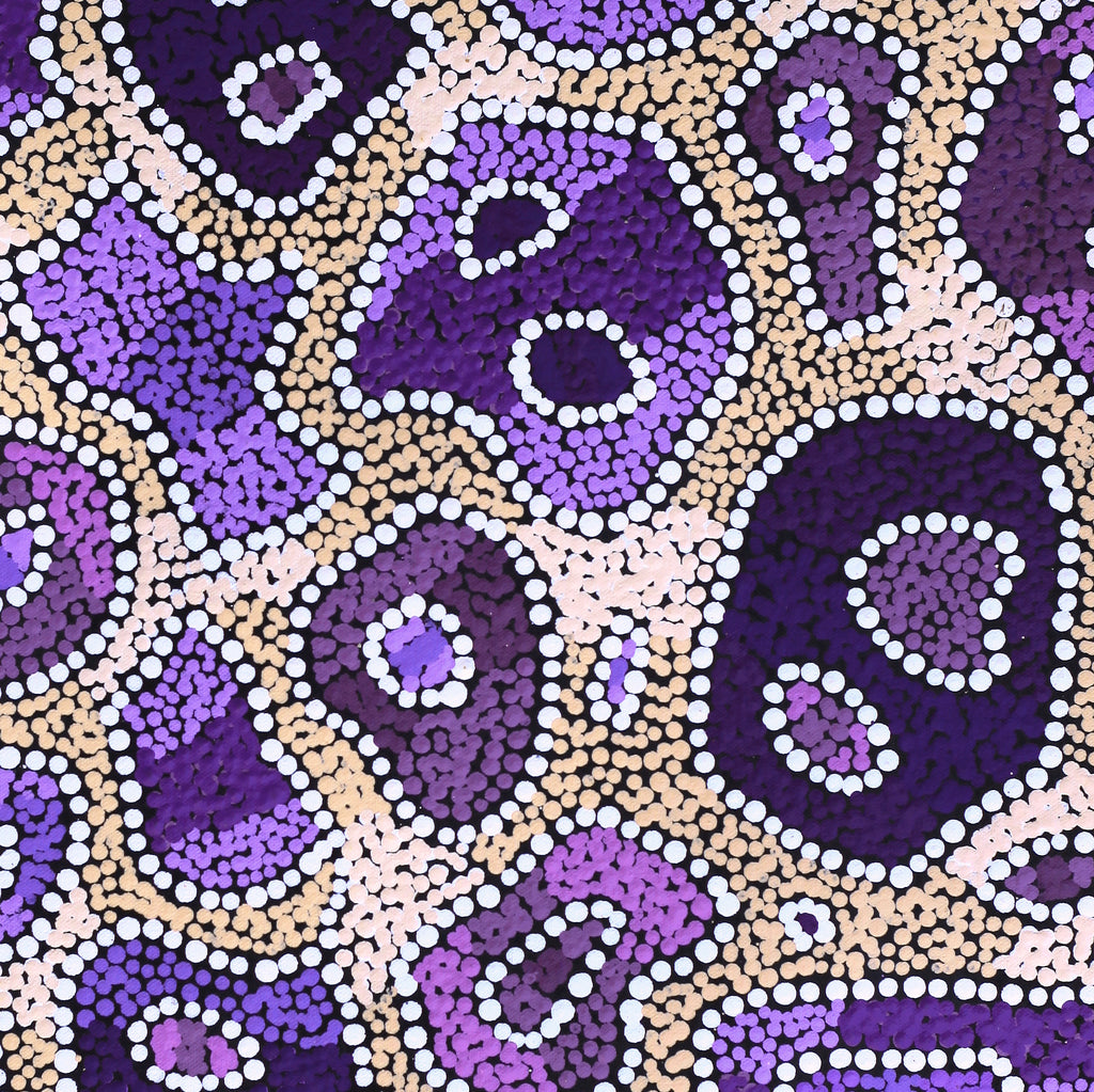Aboriginal Artwork by Priscilla Napurrurla Herbert, Lukarrara Jukurrpa, 61x46cm