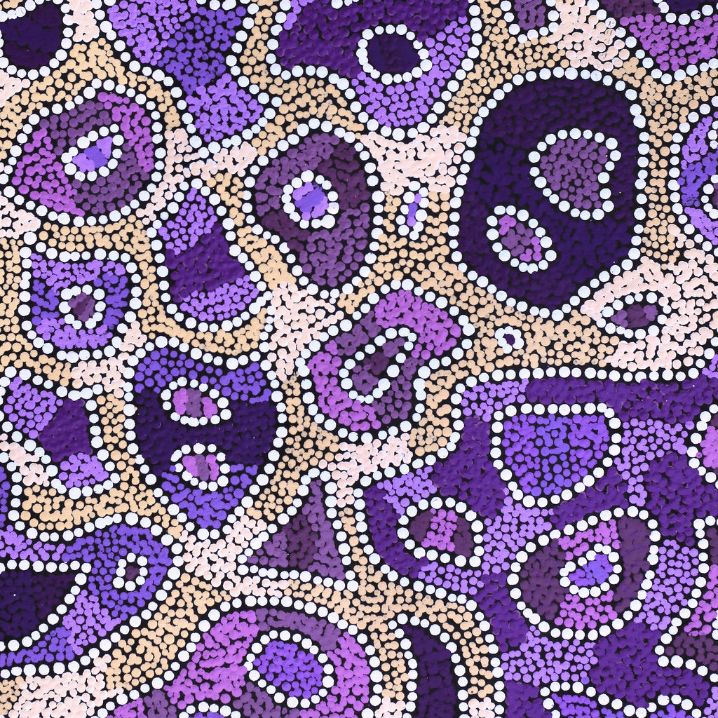 Aboriginal Artwork by Priscilla Napurrurla Herbert, Lukarrara Jukurrpa, 61x46cm - ART ARK®