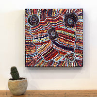 Aboriginal Artwork by Priscilla Nangala Robertson, Ngapa Jukurrpa (Water Dreaming) - Puyurru, 30x30cm