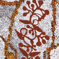 Aboriginal Artwork by Queenie Nungarrayi Stewart, Mukaki Jukurrpa (Wild Plum Dreaming), 107x30cm