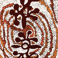 Aboriginal Artwork by Queenie Nungarrayi Stewart, Mukaki Jukurrpa (Wild Plum Dreaming), 122x30cm