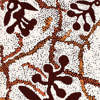 Aboriginal Artwork by Queenie Nungarrayi Stewart, Mukaki Jukurrpa (Wild Plum Dreaming), 91x46cm