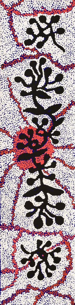 Aboriginal Artwork by Queenie Nungarrayi Stewart, Mukaki Jukurrpa (Wild Plum Dreaming), 122x30cm