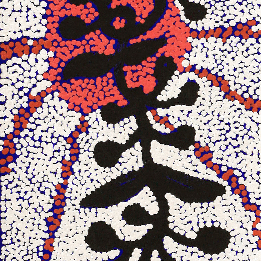 Aboriginal Artwork by Queenie Nungarrayi Stewart, Mukaki Jukurrpa (Wild Plum Dreaming), 122x30cm