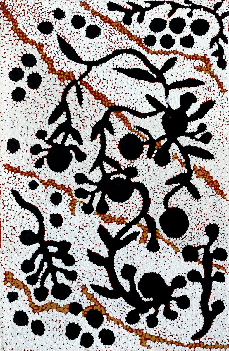 Aboriginal Art by Queenie Nungarrayi Stewart, Mukaki Jukurrpa (Wild Plum Dreaming), 46x30cm - ART ARK®