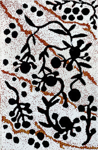 Aboriginal Artwork by Queenie Nungarrayi Stewart, Mukaki Jukurrpa (Wild Plum Dreaming), 46x30cm - ART ARK®