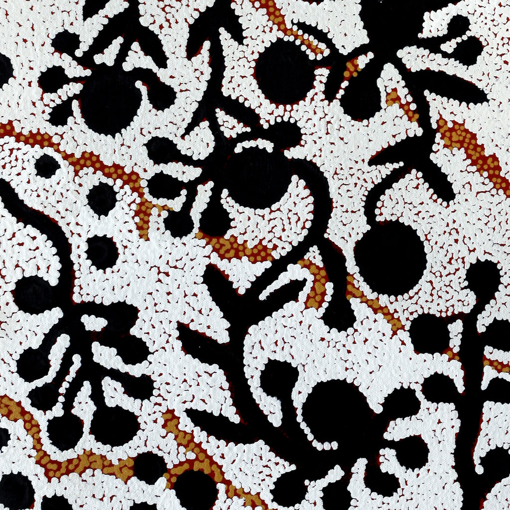 Aboriginal Artwork by Queenie Nungarrayi Stewart, Mukaki Jukurrpa (Wild Plum Dreaming), 46x30cm