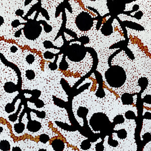 Aboriginal Artwork by Queenie Nungarrayi Stewart, Mukaki Jukurrpa (Wild Plum Dreaming), 46x30cm - ART ARK®
