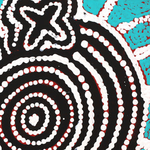 Aboriginal Art by Queenie Nungarrayi Stewart, Ngatijirri Jukurrpa (Budgerigar Dreaming), 30x30cm - ART ARK®