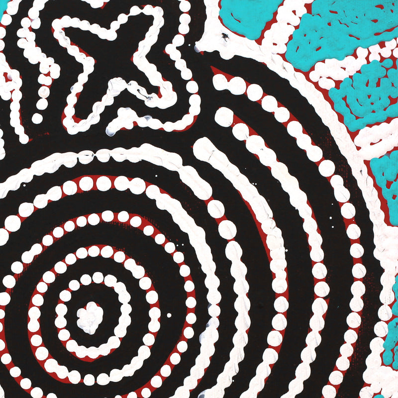 Aboriginal Artwork by Queenie Nungarrayi Stewart, Ngatijirri Jukurrpa (Budgerigar Dreaming), 30x30cm