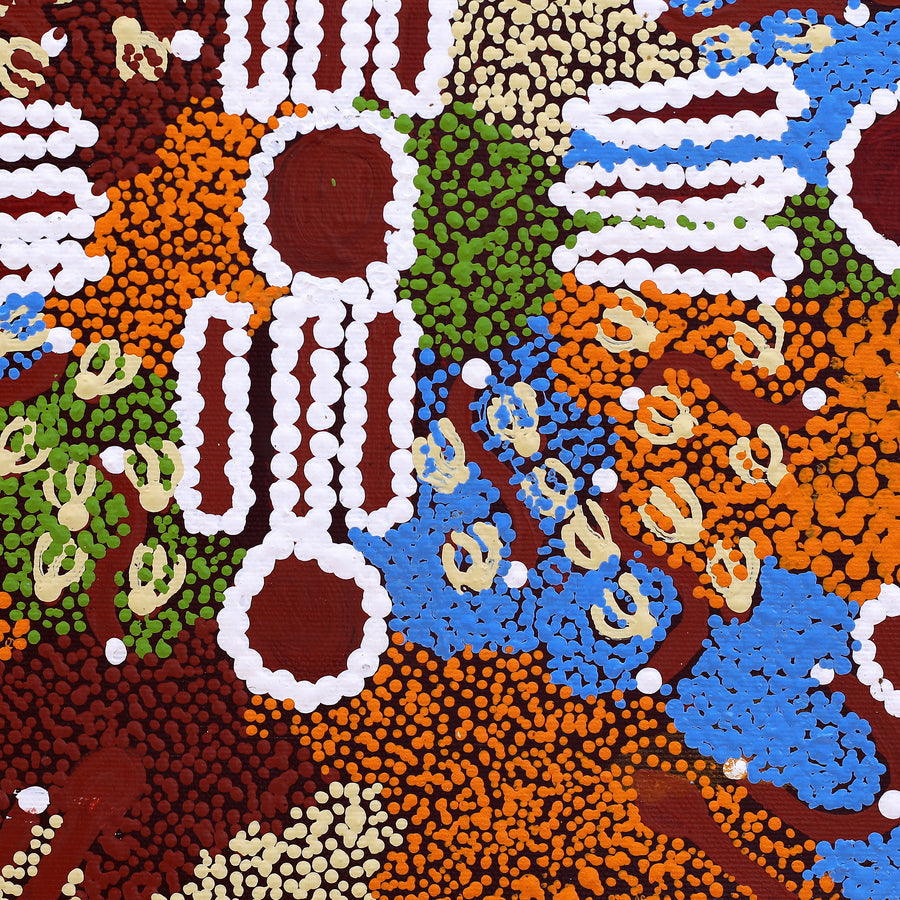 Aboriginal Artwork by Rahab Nungarrayi Spencer, Wardapi Jukurrpa (Goanna Dreaming), 30x30cm