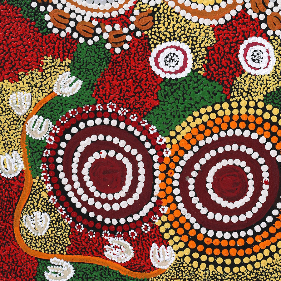 Aboriginal Artwork by Rahab Nungarrayi Spencer, Wardapi Jukurrpa (Goanna Dreaming) - Yarripilangu, 61x46cm