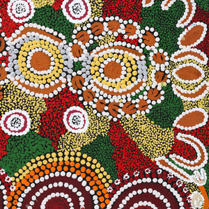 Aboriginal Art by Rahab Nungarrayi Spencer, Wardapi Jukurrpa (Goanna Dreaming) - Yarripilangu, 61x46cm - ART ARK®