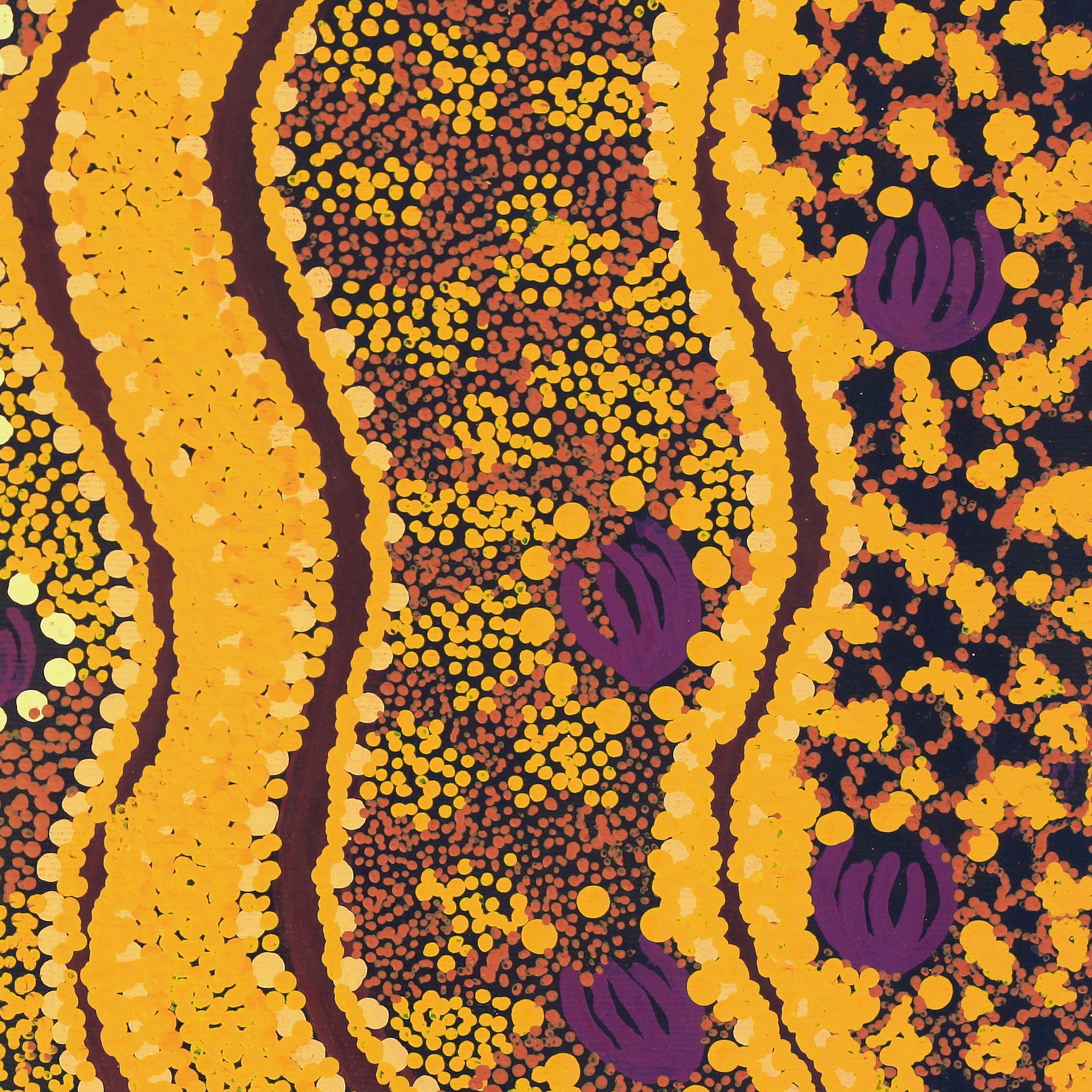 2996/25 Canvas Prestretched Wardapi Jukurrpa (Goanna Dreaming) 30x30cm Ingrid Napangardi Williams - Warlukulangu Artists main image 1