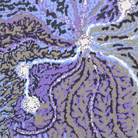 Aboriginal Artwork by Rahab Nungarrayi Spencer, Wardapi Jukurrpa (Goanna Dreaming), 46x46cm