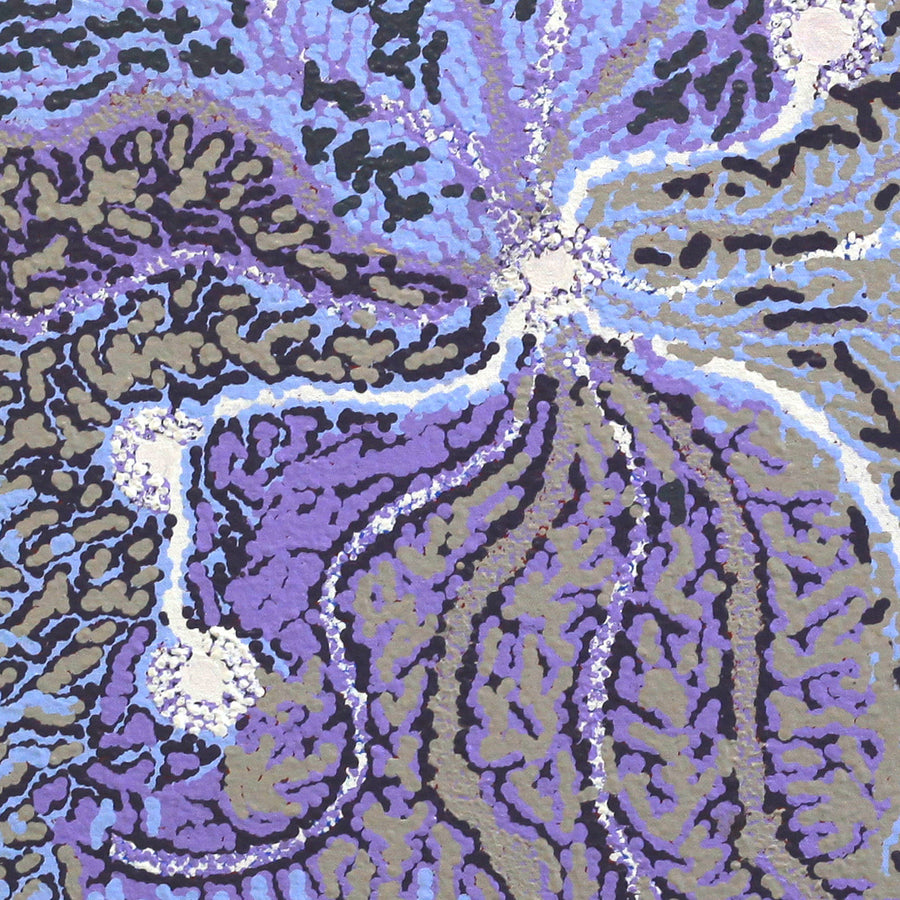 Aboriginal Artwork by Rahab Nungarrayi Spencer, Wardapi Jukurrpa (Goanna Dreaming), 46x46cm