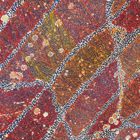 Aboriginal Artwork by Reanne Nampijinpa Brown, Ngapa Jukurrpa (Water Dreaming) - Mikanji, 107x76cm