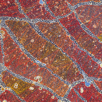 Aboriginal Artwork by Reanne Nampijinpa Brown, Ngapa Jukurrpa (Water Dreaming) - Mikanji, 107x76cm