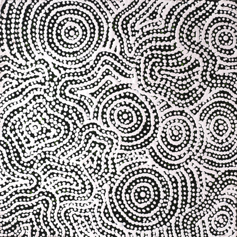 Aboriginal Artwork by Reanne Nampijinpa Brown, Warna Jukurrpa (Snake Dreaming), 30x30cm
