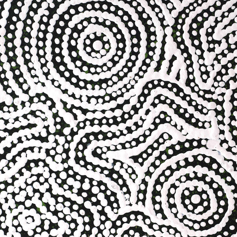 Aboriginal Artwork by Reanne Nampijinpa Brown, Warna Jukurrpa (Snake Dreaming), 30x30cm