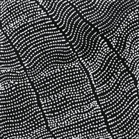 Aboriginal Artwork by Reanne Nampijinpa Brown, Ngapa Jukurrpa (Water Dreaming) - Mikanji, 30x30cm
