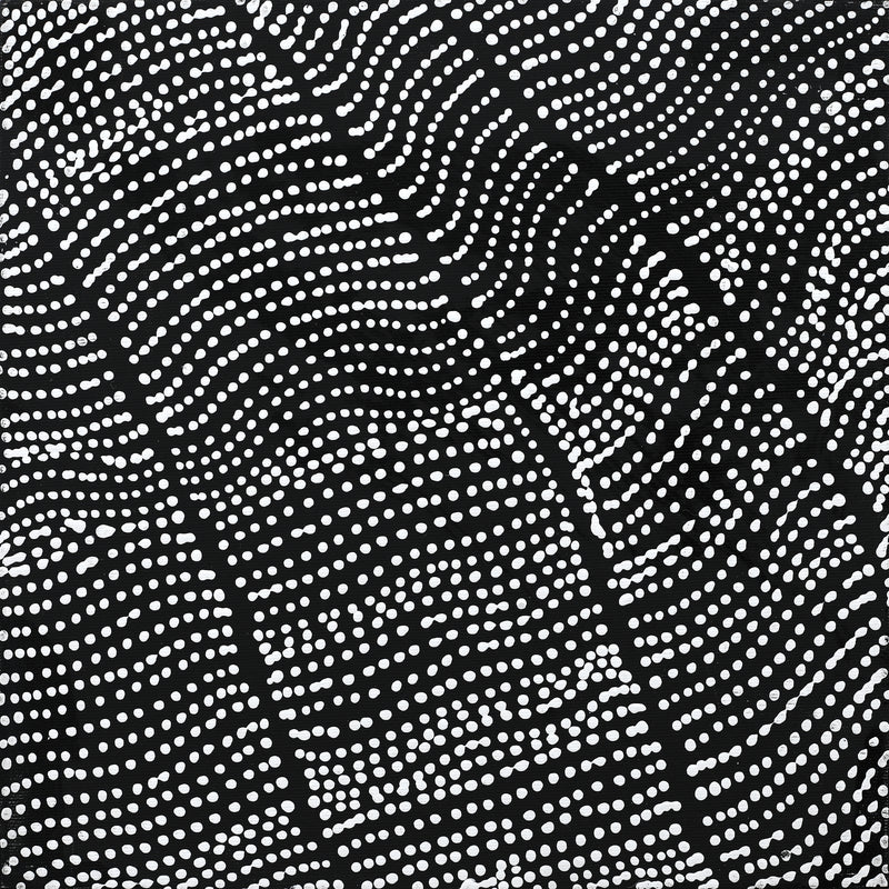Aboriginal Artwork by Reanne Nampijinpa Brown, Ngapa Jukurrpa (Water Dreaming) - Mikanji, 30x30cm