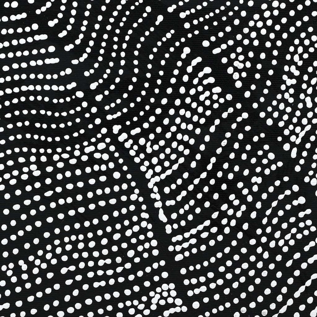 Aboriginal Artwork by Reanne Nampijinpa Brown, Ngapa Jukurrpa (Water Dreaming) - Mikanji, 30x30cm