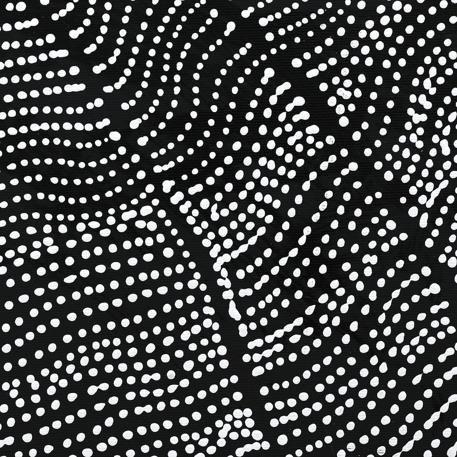 Aboriginal Artwork by Reanne Nampijinpa Brown, Ngapa Jukurrpa (Water Dreaming) - Mikanji, 30x30cm