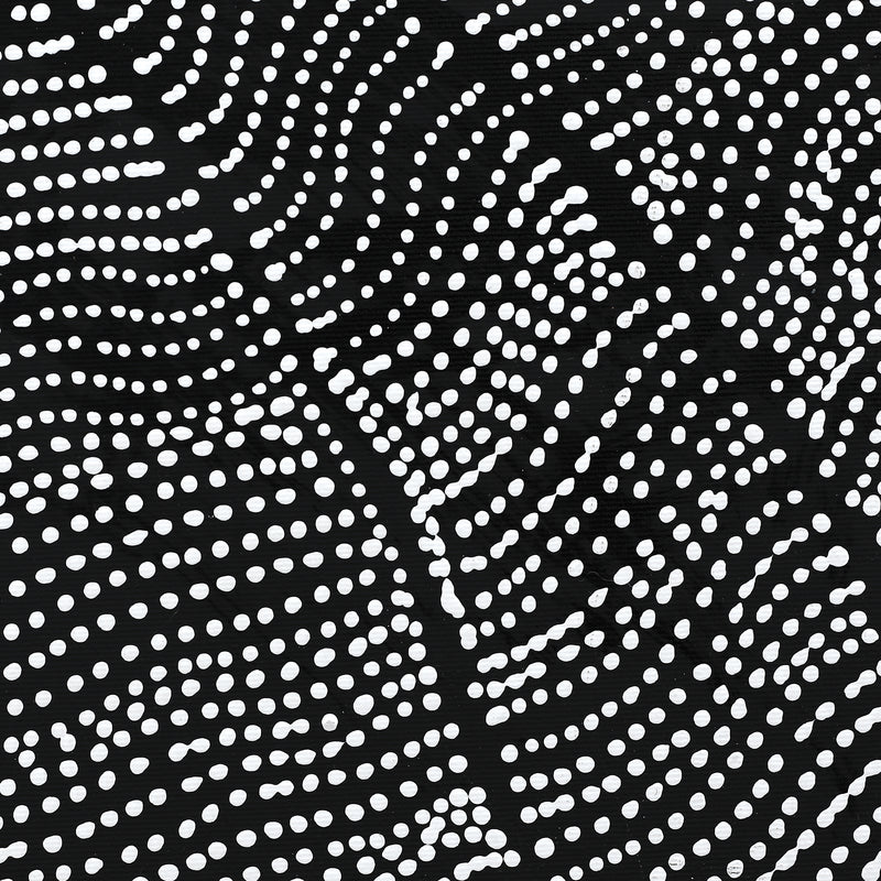 Aboriginal Artwork by Reanne Nampijinpa Brown, Ngapa Jukurrpa (Water Dreaming) - Mikanji, 30x30cm
