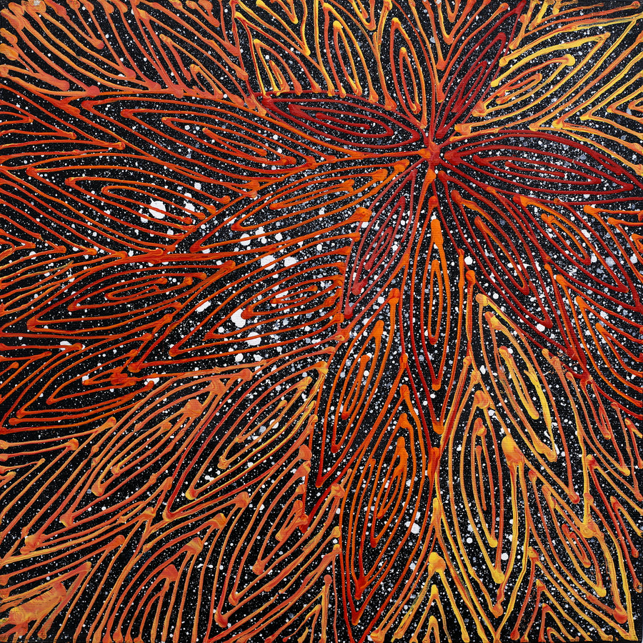 Aboriginal Artwork by Reanne Nampijinpa Brown, Ngapa Jukurrpa (Water Dreaming) - Mikanji, 30x30cm