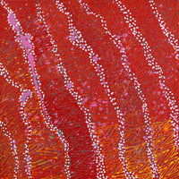Aboriginal Artwork by Reanne Nampijinpa Brown, Ngapa Jukurrpa (Water Dreaming) - Mikanji, 30x30cm