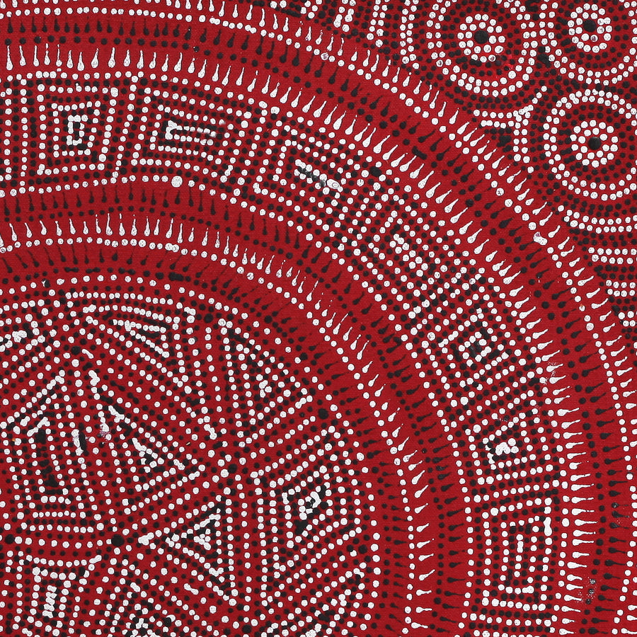Aboriginal Artwork by Reanne Nampijinpa Brown, Lappi Lappi Jukurrpa, 46x46cm