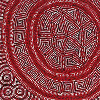Aboriginal Artwork by Reanne Nampijinpa Brown, Lappi Lappi Jukurrpa, 46x46cm