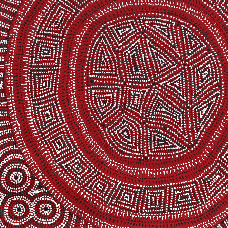 Aboriginal Artwork by Reanne Nampijinpa Brown, Lappi Lappi Jukurrpa, 46x46cm