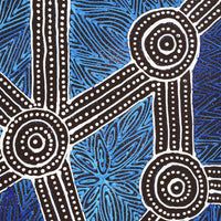 Aboriginal Artwork by Reanne Nampijinpa Brown, Ngapa Jukurrpa (Water Dreaming) - Mikanji, 50x40cm