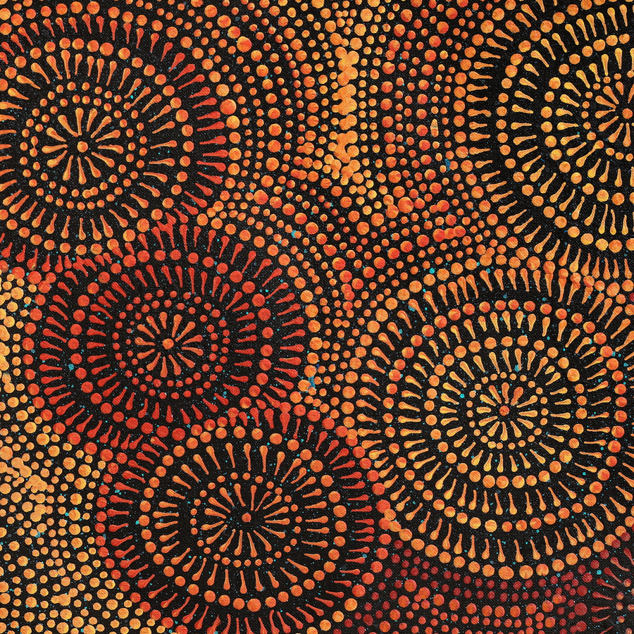 Aboriginal Artwork by Reanne Nampijinpa Brown, Ngapa Jukurrpa (Water Dreaming) - Mikanji, 61x30cm