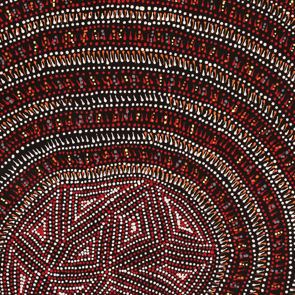Aboriginal Artwork by Reanne Nampijinpa Brown, Lappi Lappi Jukurrpa, 61x46cm