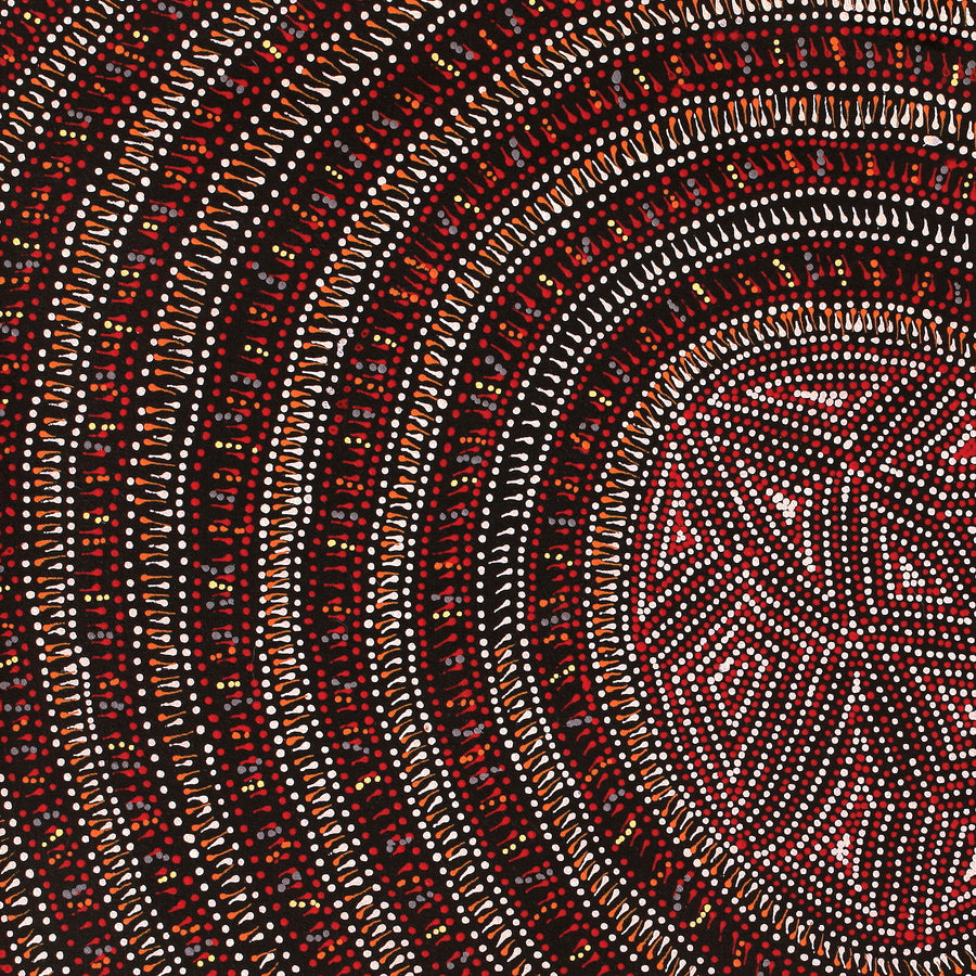 Aboriginal Artwork by Reanne Nampijinpa Brown, Lappi Lappi Jukurrpa, 61x46cm