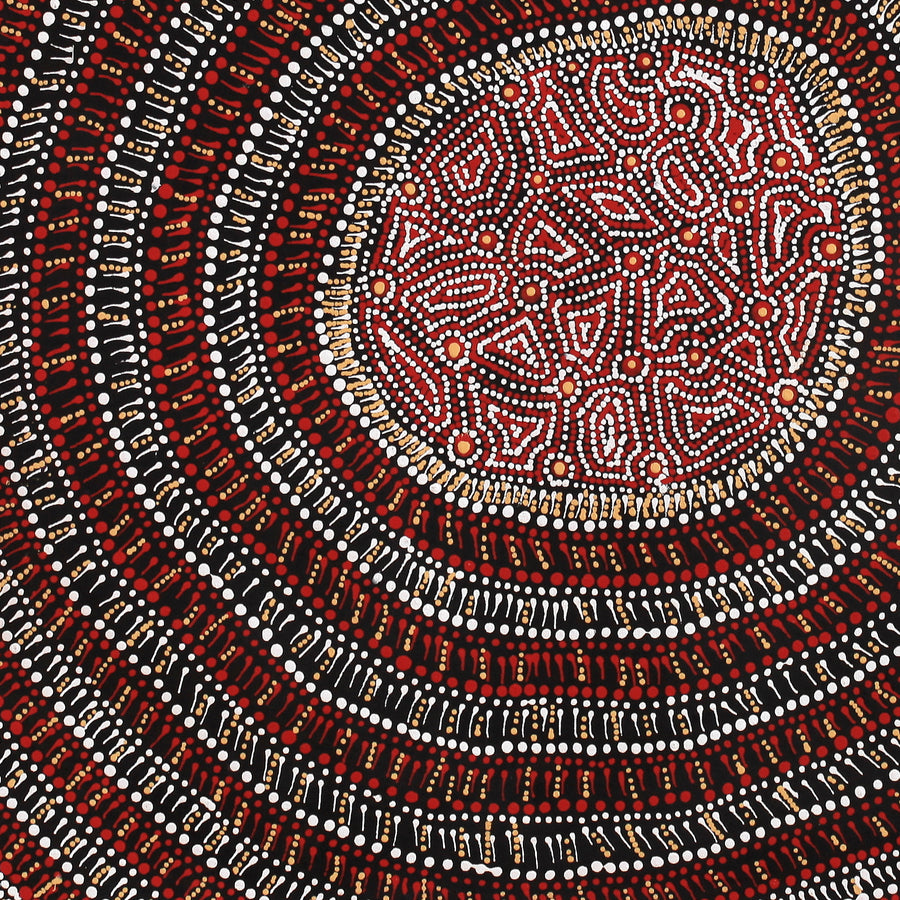 Aboriginal Artwork by Reanne Nampijinpa Brown, Lappi Lappi Jukurrpa, 61x61cm