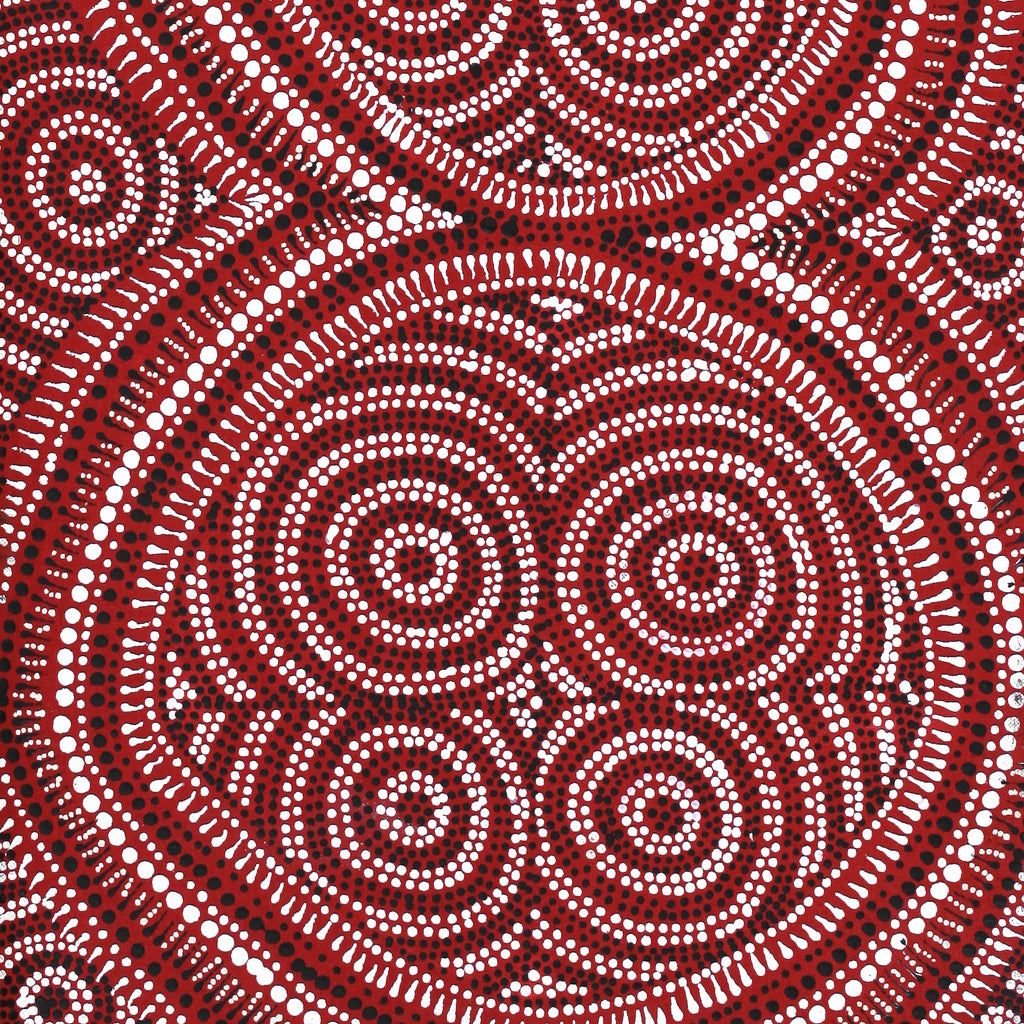 Aboriginal Artwork by Reanne Nampijinpa Brown, Lappi Lappi Jukurrpa, 76x30cm