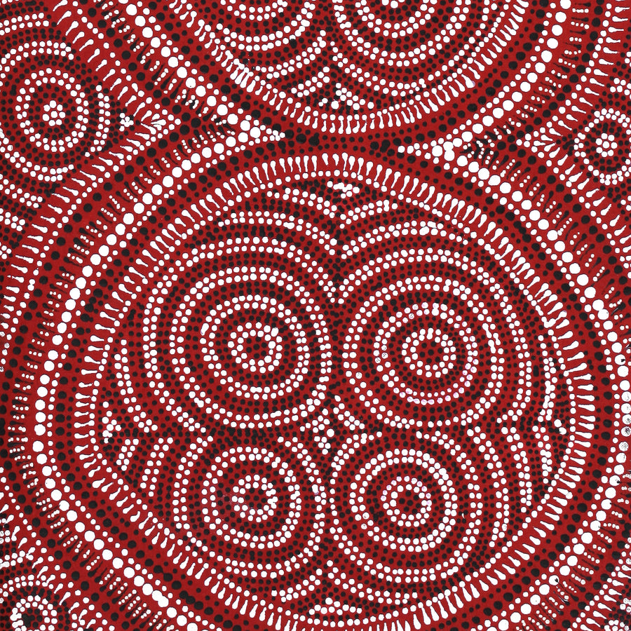 Aboriginal Artwork by Reanne Nampijinpa Brown, Lappi Lappi Jukurrpa, 76x30cm