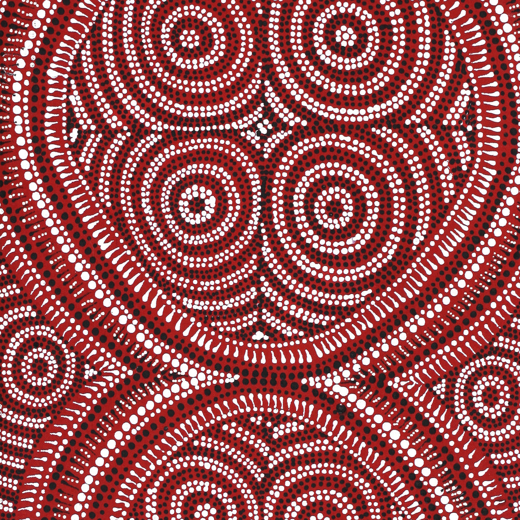 Aboriginal Artwork by Reanne Nampijinpa Brown, Lappi Lappi Jukurrpa, 76x30cm