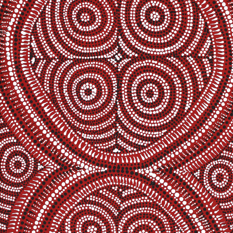 Aboriginal Artwork by Reanne Nampijinpa Brown, Lappi Lappi Jukurrpa, 76x30cm