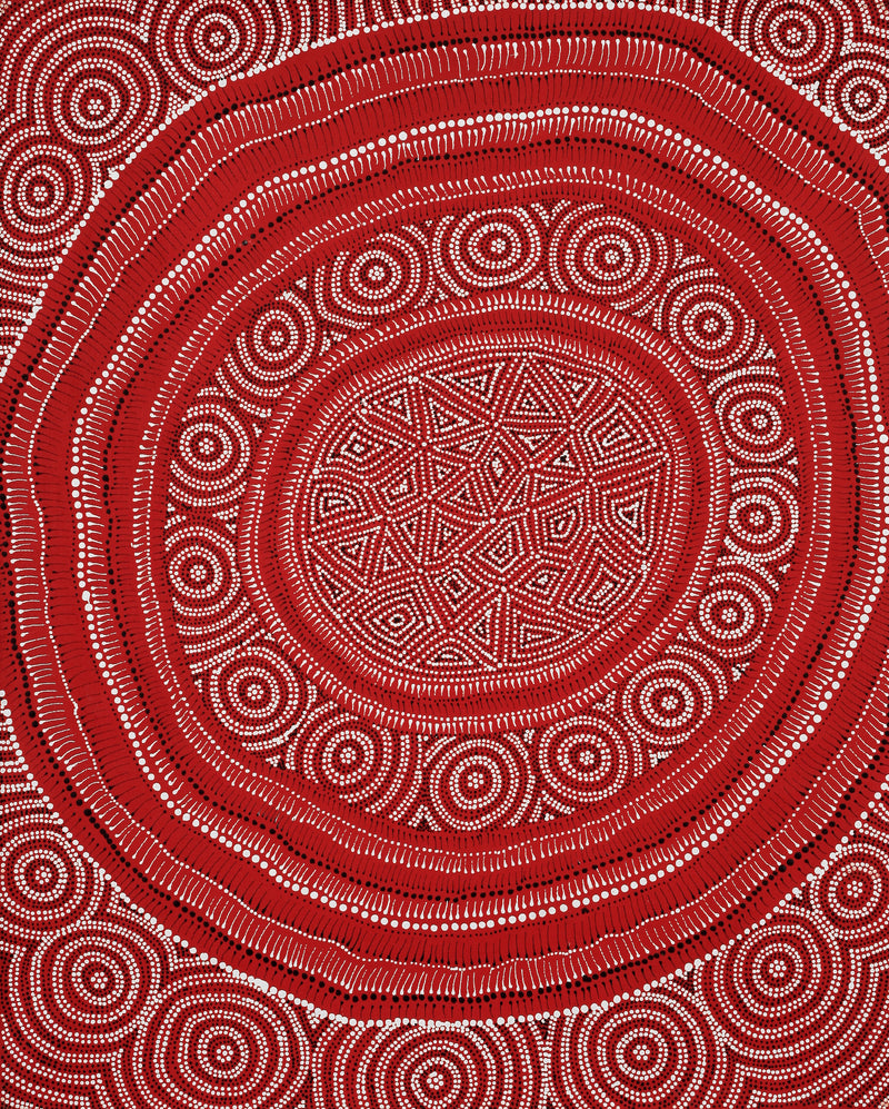 Aboriginal Artwork by Reanne Nampijinpa Brown, appi Lappi Jukurrpa (Lappi Lappi Dreaming), 76x61cm