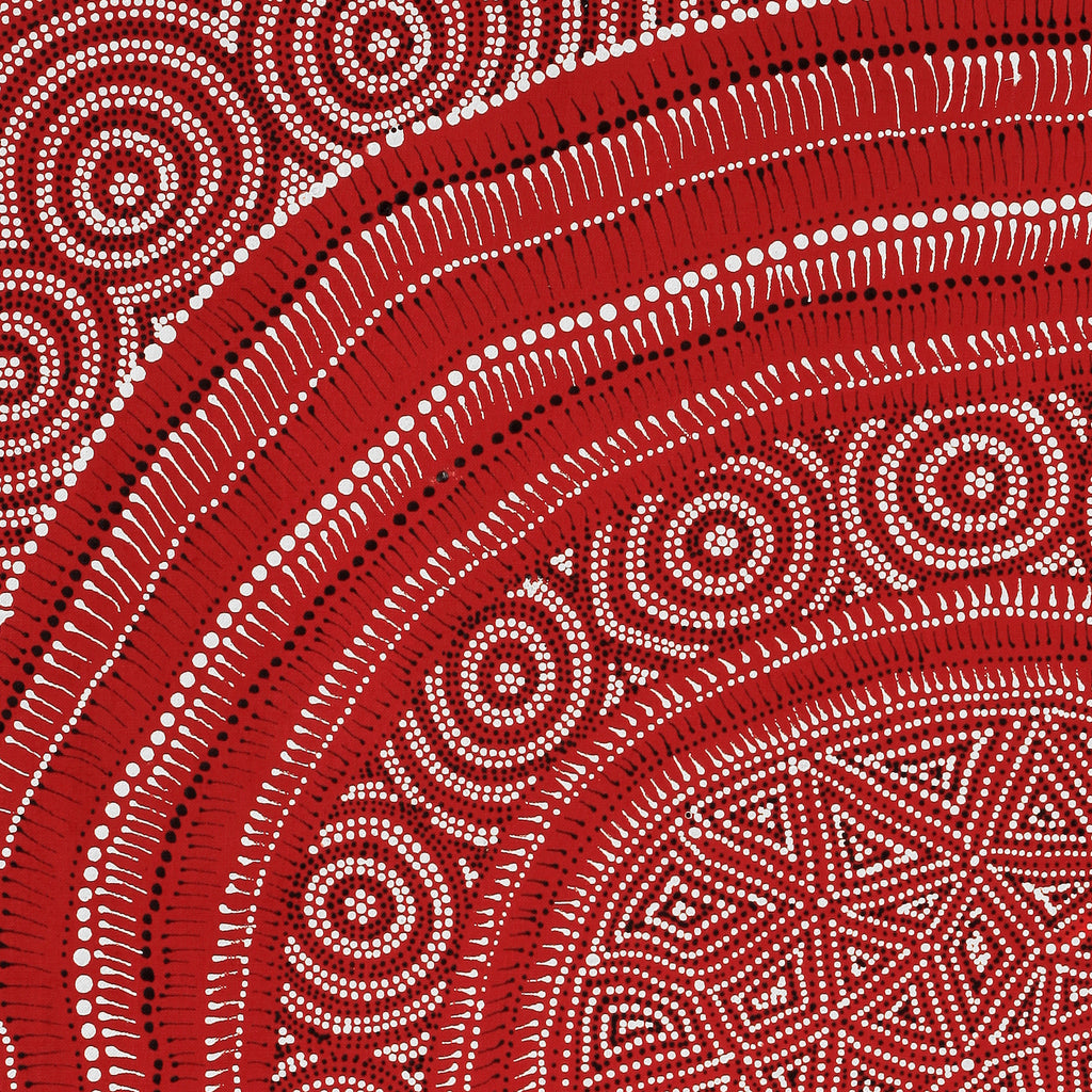 Aboriginal Artwork by Reanne Nampijinpa Brown, appi Lappi Jukurrpa (Lappi Lappi Dreaming), 76x61cm