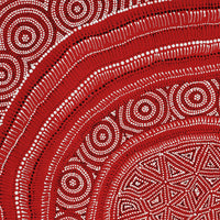 Aboriginal Artwork by Reanne Nampijinpa Brown, appi Lappi Jukurrpa (Lappi Lappi Dreaming), 76x61cm