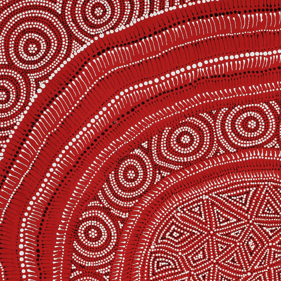 Aboriginal Artwork by Reanne Nampijinpa Brown, appi Lappi Jukurrpa (Lappi Lappi Dreaming), 76x61cm