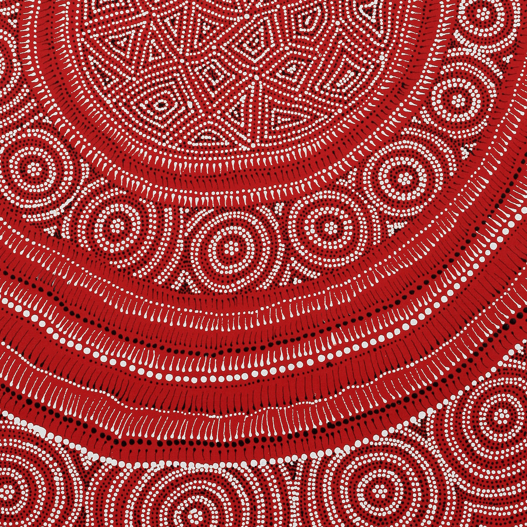 Aboriginal Artwork by Reanne Nampijinpa Brown, appi Lappi Jukurrpa (Lappi Lappi Dreaming), 76x61cm