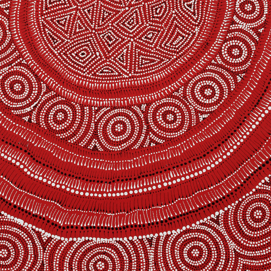 Aboriginal Artwork by Reanne Nampijinpa Brown, appi Lappi Jukurrpa (Lappi Lappi Dreaming), 76x61cm