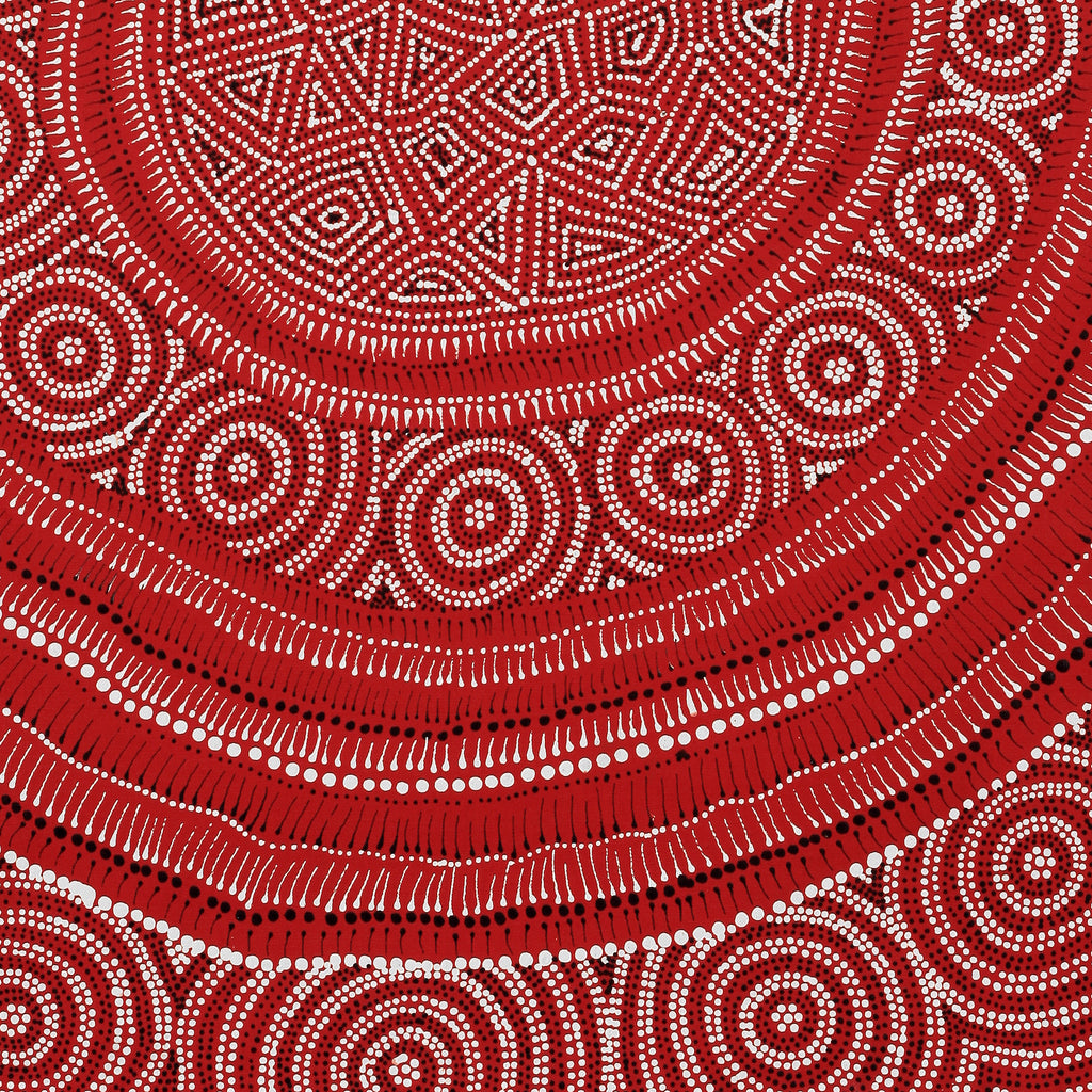 Aboriginal Artwork by Reanne Nampijinpa Brown, appi Lappi Jukurrpa (Lappi Lappi Dreaming), 76x61cm - ART ARK®